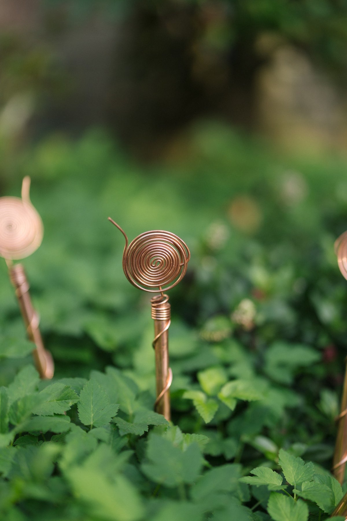 Kopero Électroculture 30 cm, une antenne dans une plate-bande parmi des plantes vertes