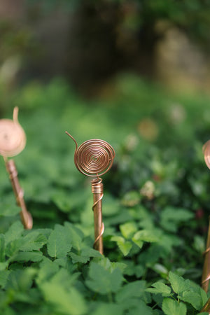 Kopero Électroculture 30 cm, une antenne dans une plate-bande parmi des plantes vertes
