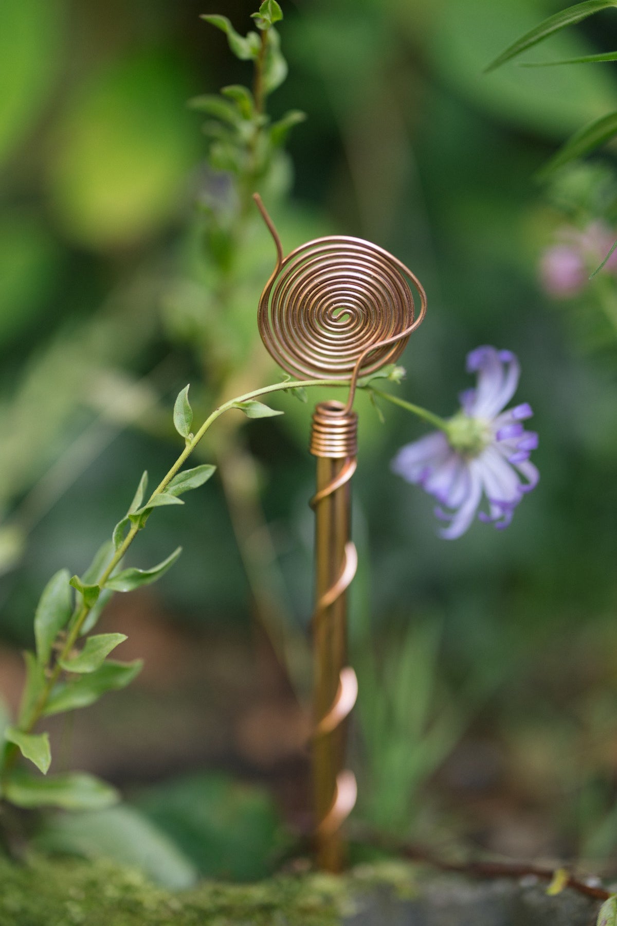 Kopero Électroculture 30 cm, avec une brindille autour de la spirale en cuivre dans une jardinière