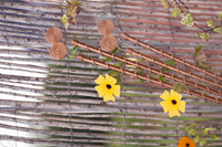 Antennes d'électroculture en cuivre Kopero de 60 cm le long d'une clôture en osier avec une plante grimpante en fleurs