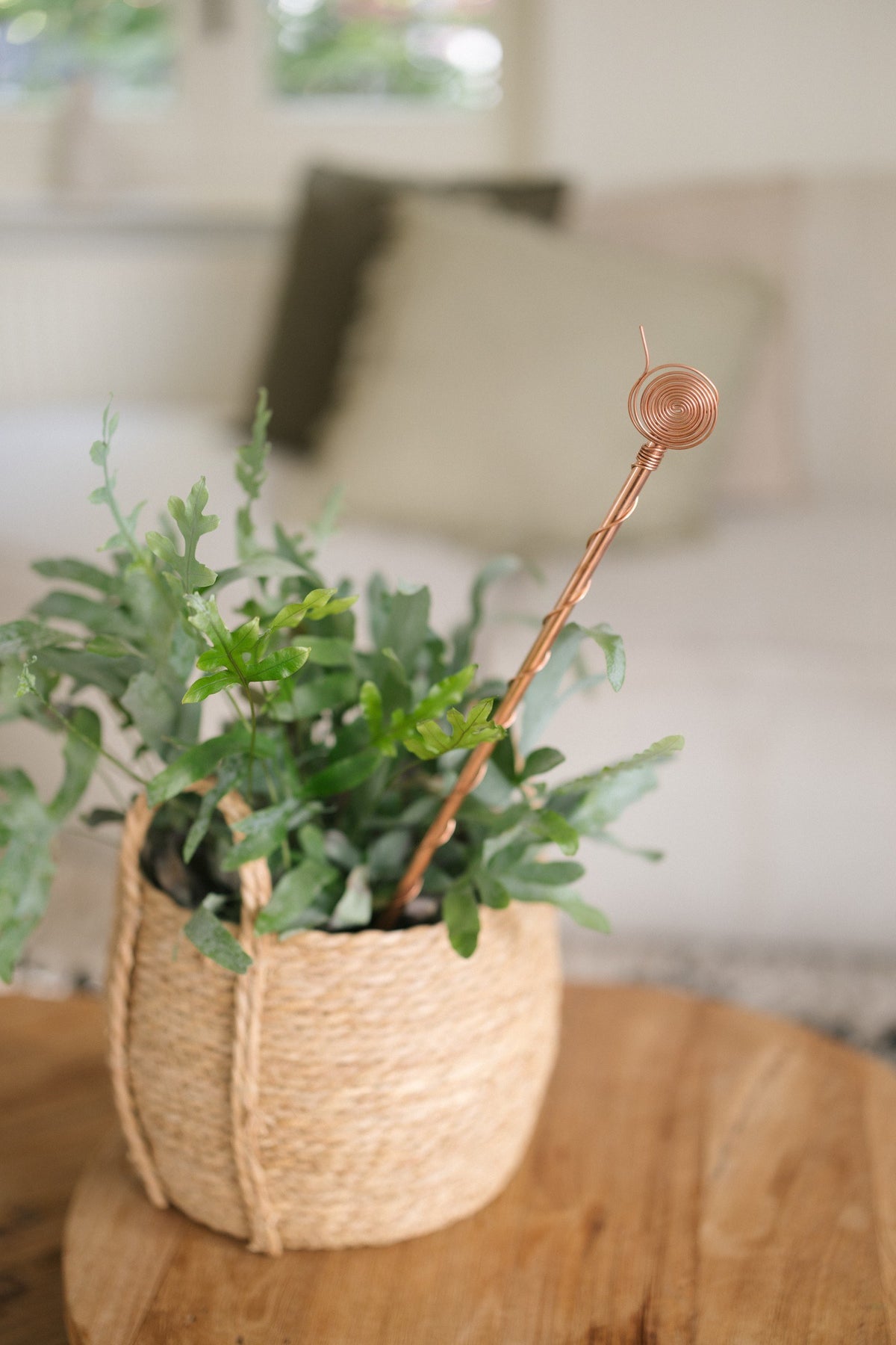 Kopero Électroculture 60 cm, dans un panier en osier avec une plante d'intérieur