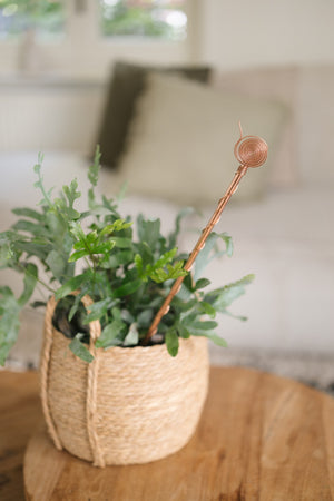 Kopero Électroculture 60 cm, dans un panier en osier avec une plante d'intérieur