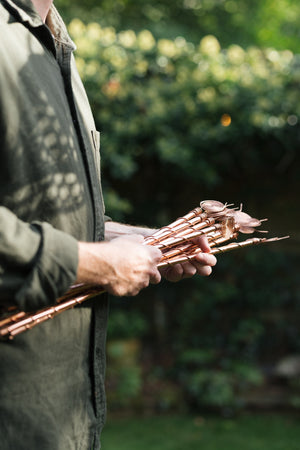 Kopero Électroculture, un bouquet d'antennes en cuivre dans deux mains dans le jardin